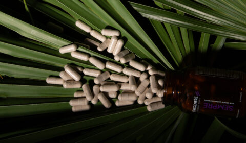 The Rise of Organic Supplements and Nutrients in Hair Care